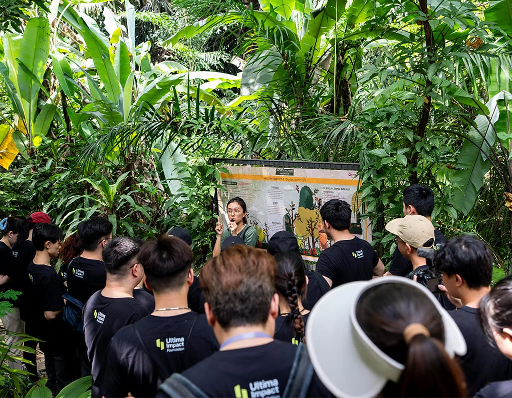 Action Restoring Forests Photo Img9 Min